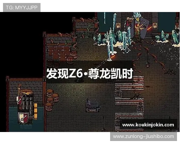 z6尊龙官方网站网页版最新登录入口，安全稳定的尊龙z6官网平台推荐