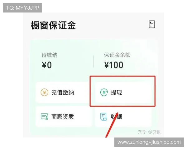 凯时网站的支付方式多样化确保玩家充值提现安全便捷体验优质服务